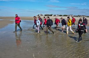 Promenade en baie de Somme